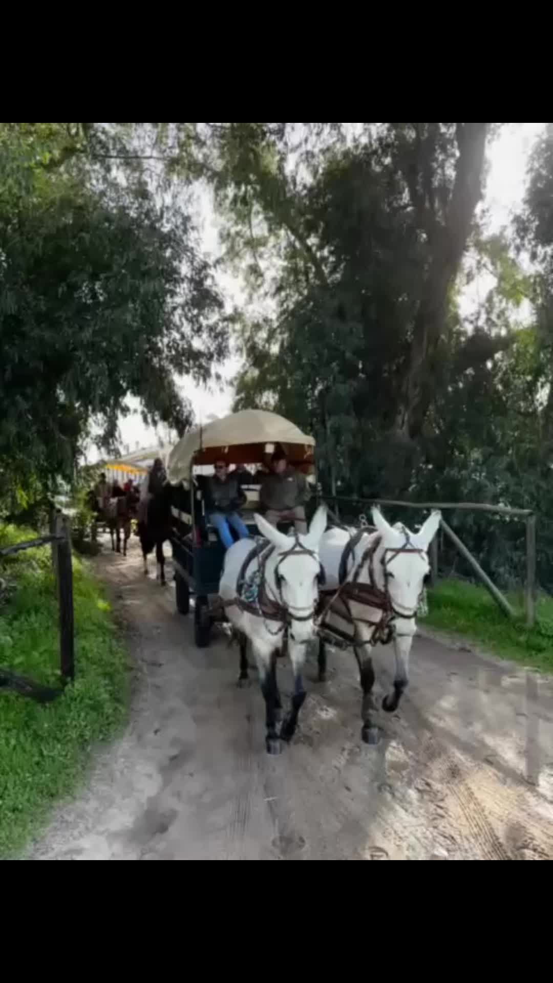 @rafa