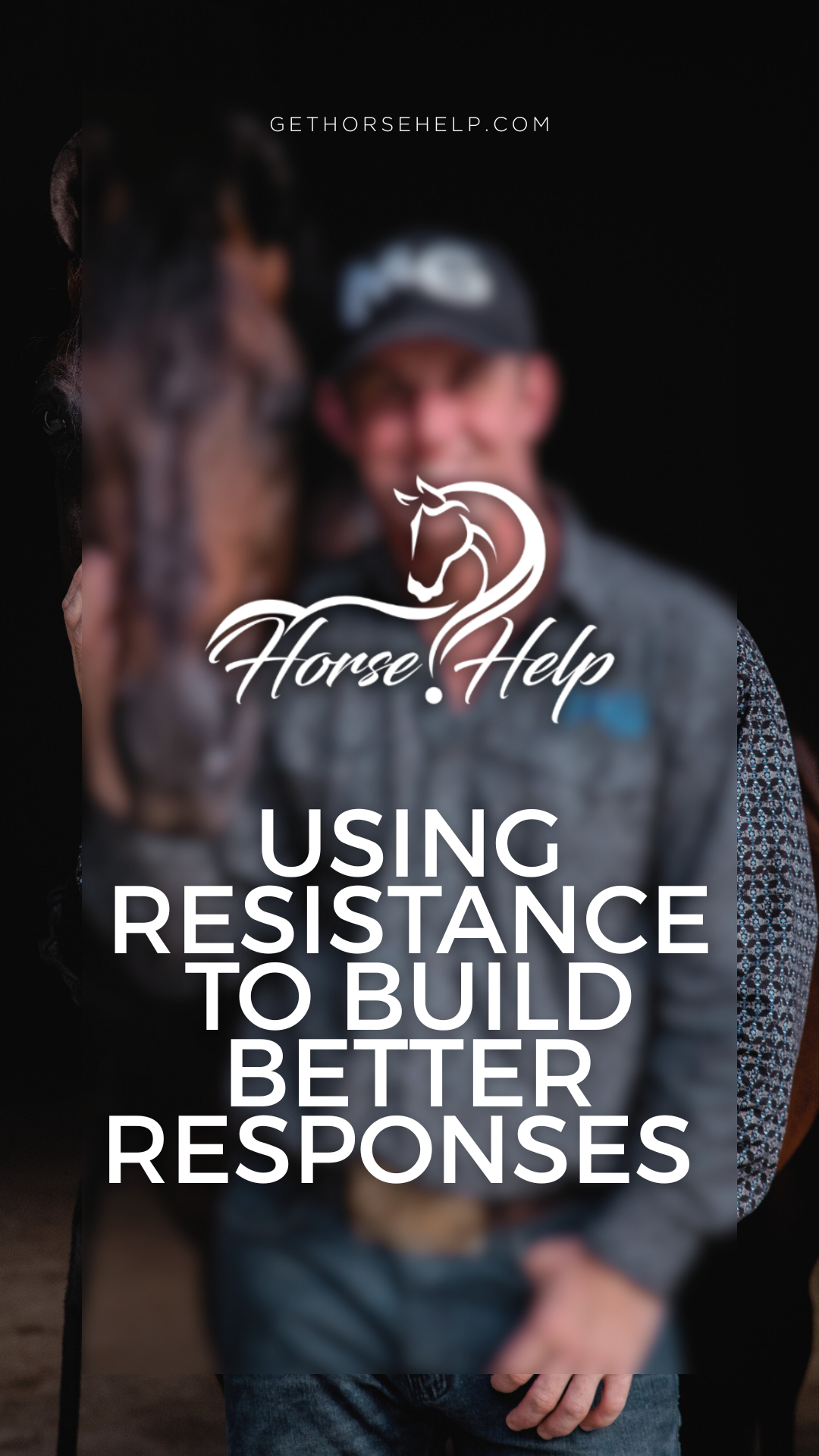 @Horse Help