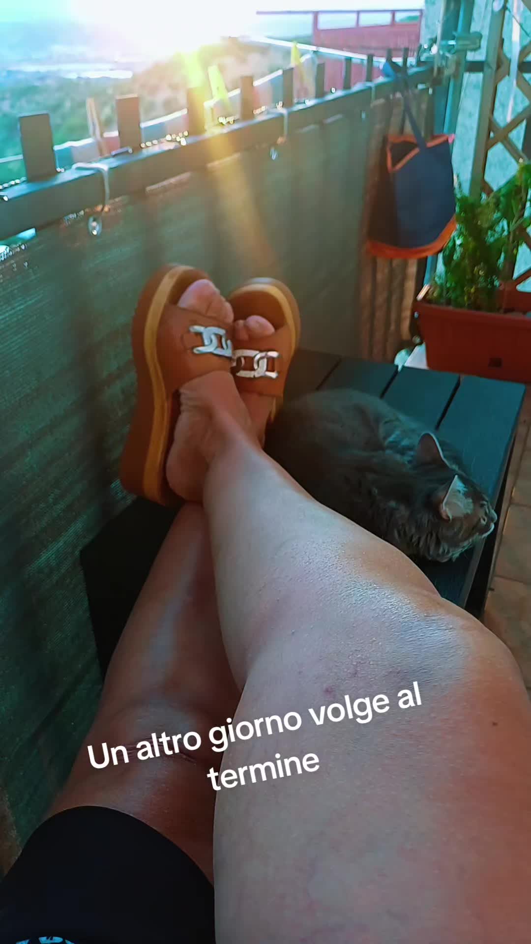 @Creami