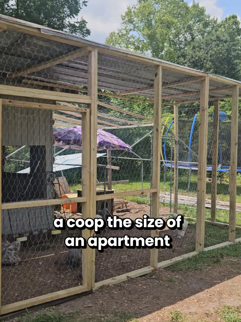 @Crooked Beak Coop