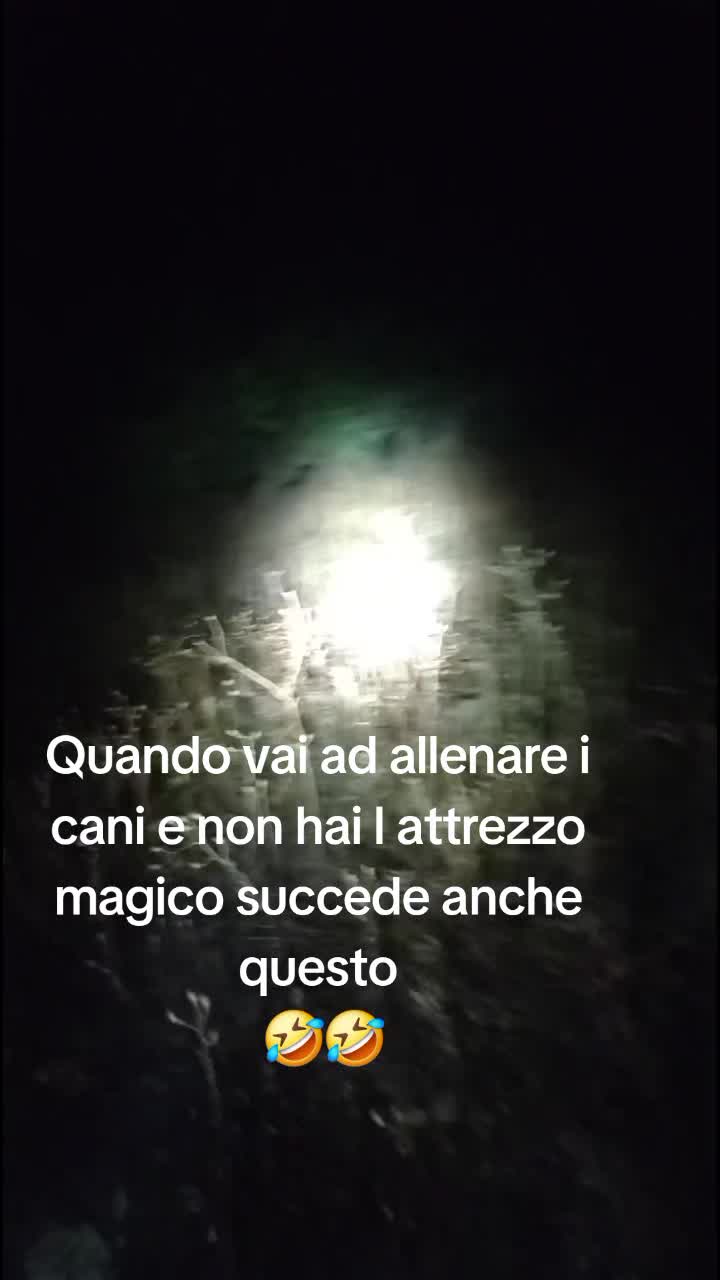 @massimomurru1
