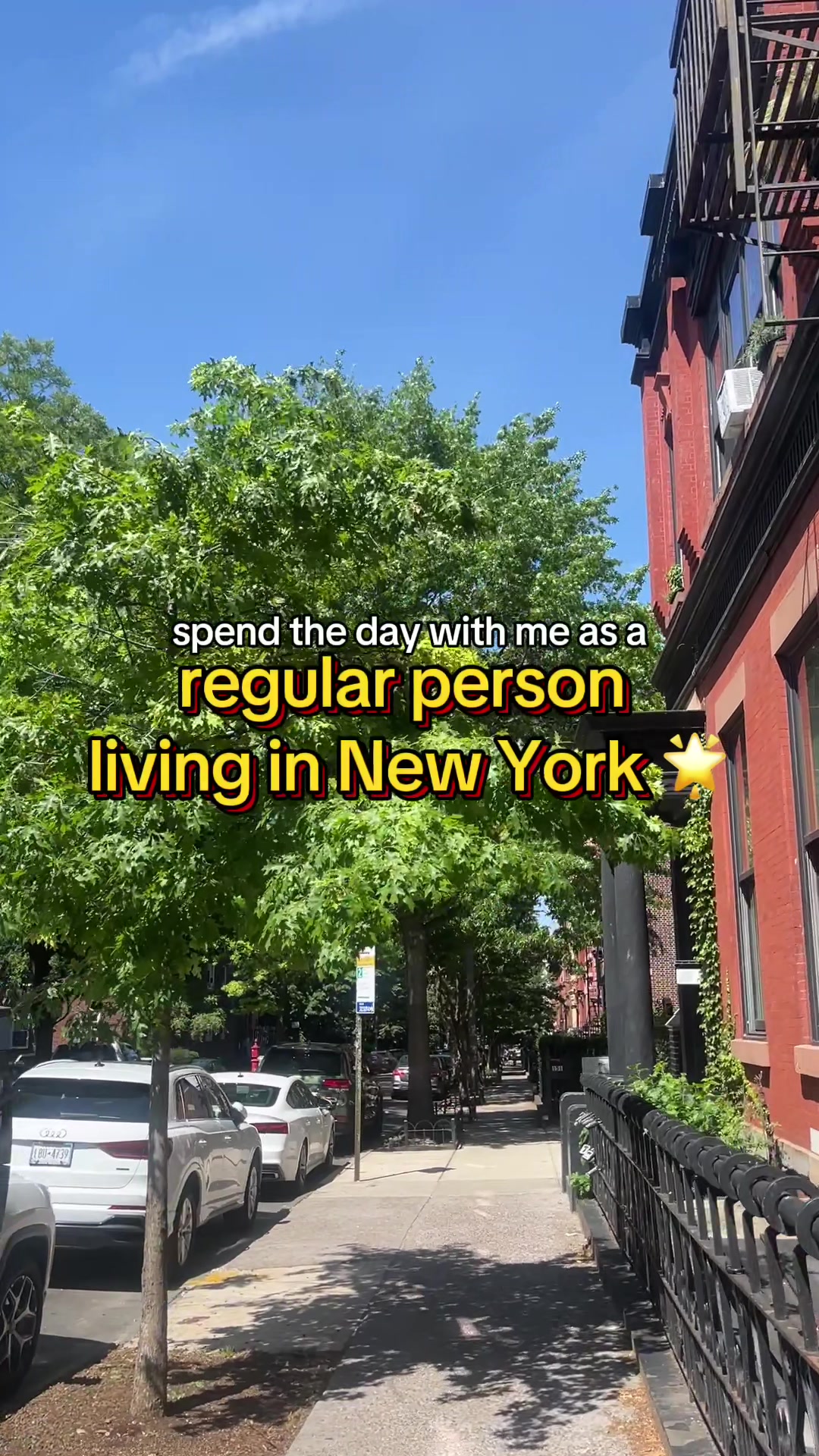 @eileen 🍉📚🗽