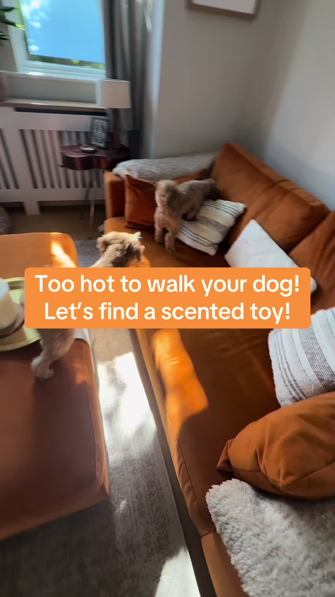 @MilneandMutt
