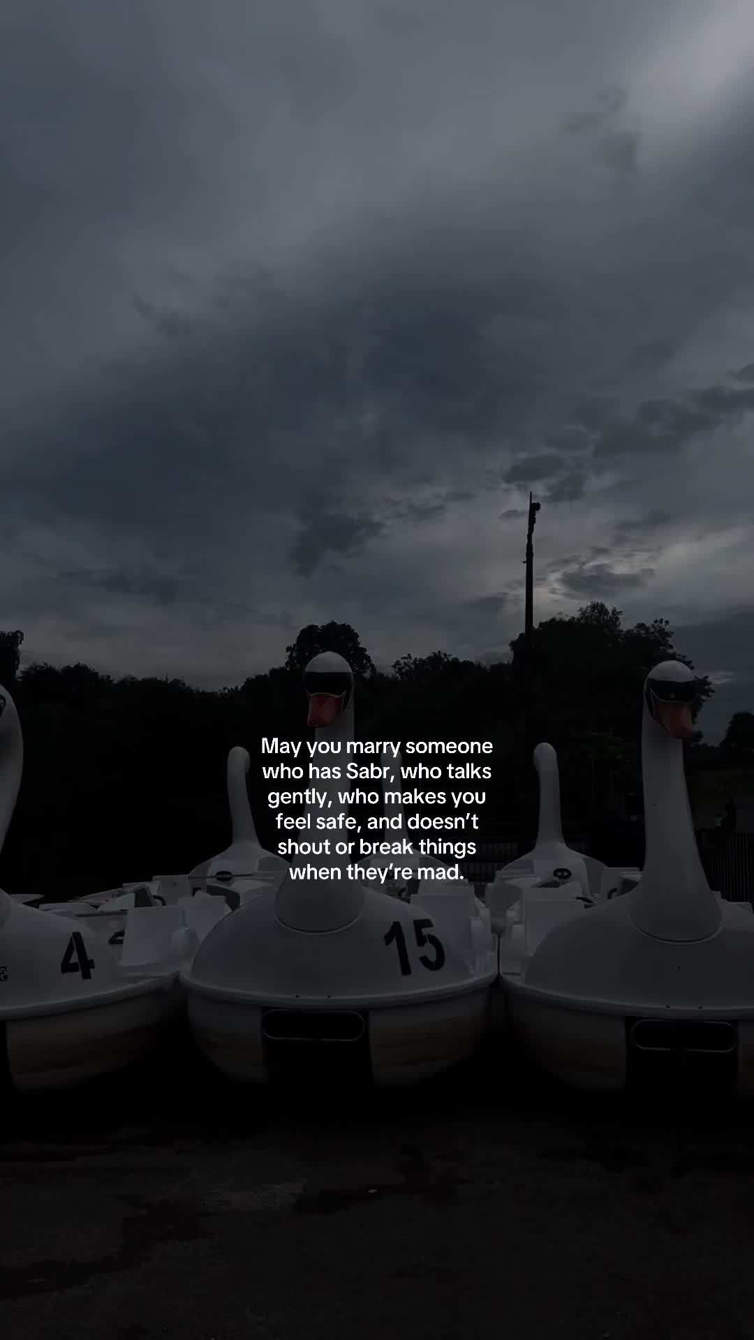 @No Doubt🕊️