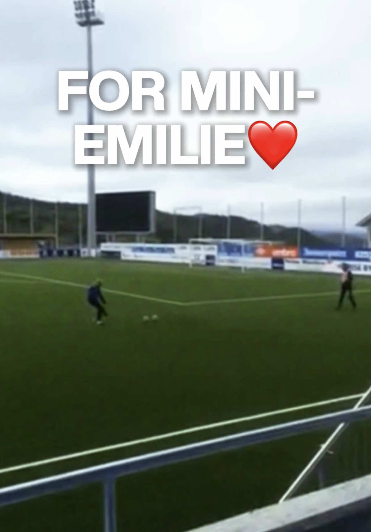 @Emilie Steinklev Lein