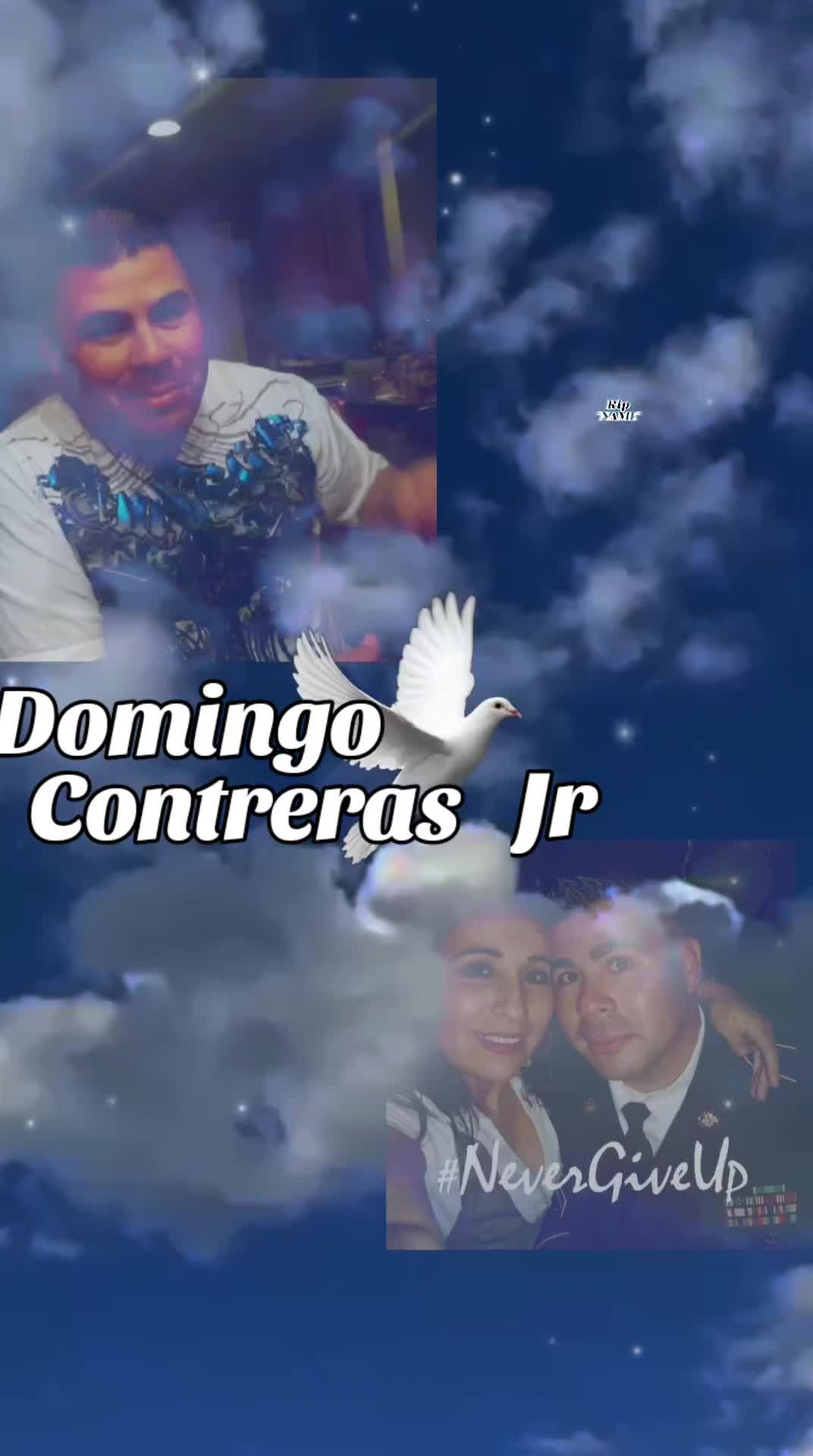 @monicacontreras498