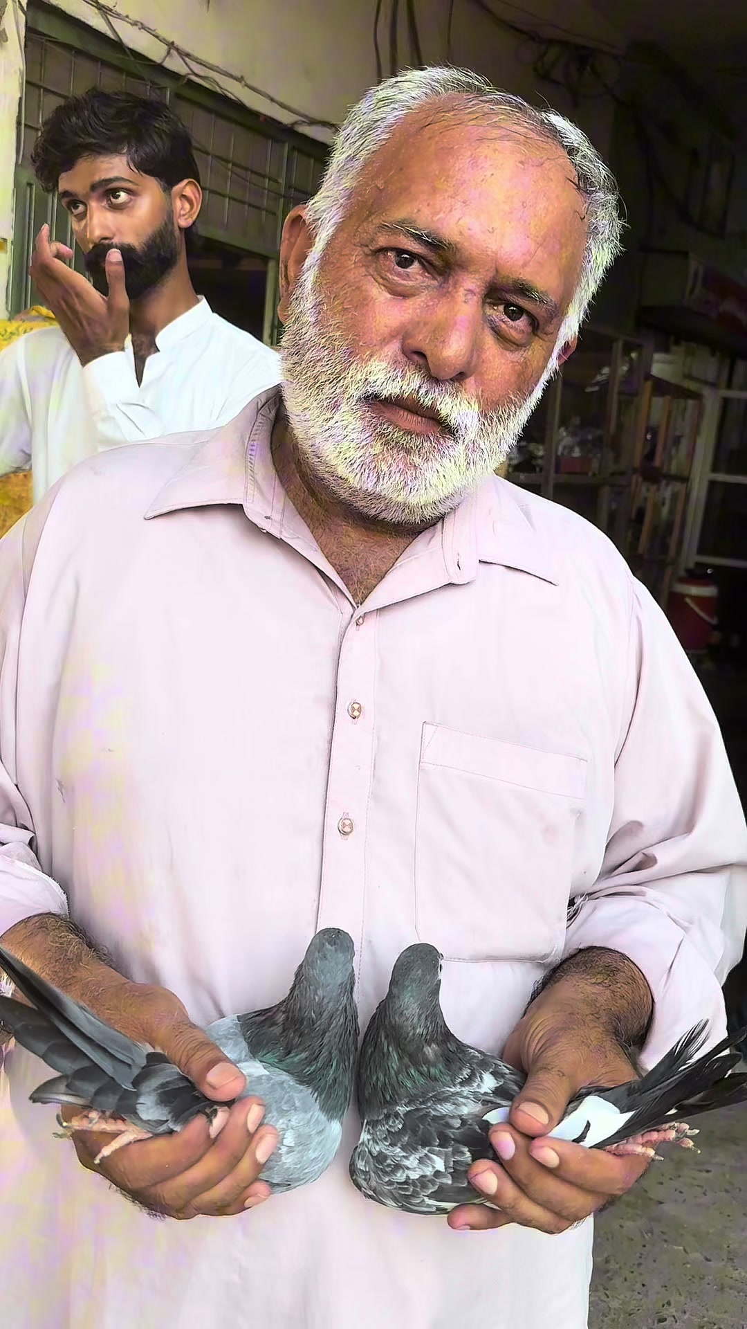 @Lahore Pigeon