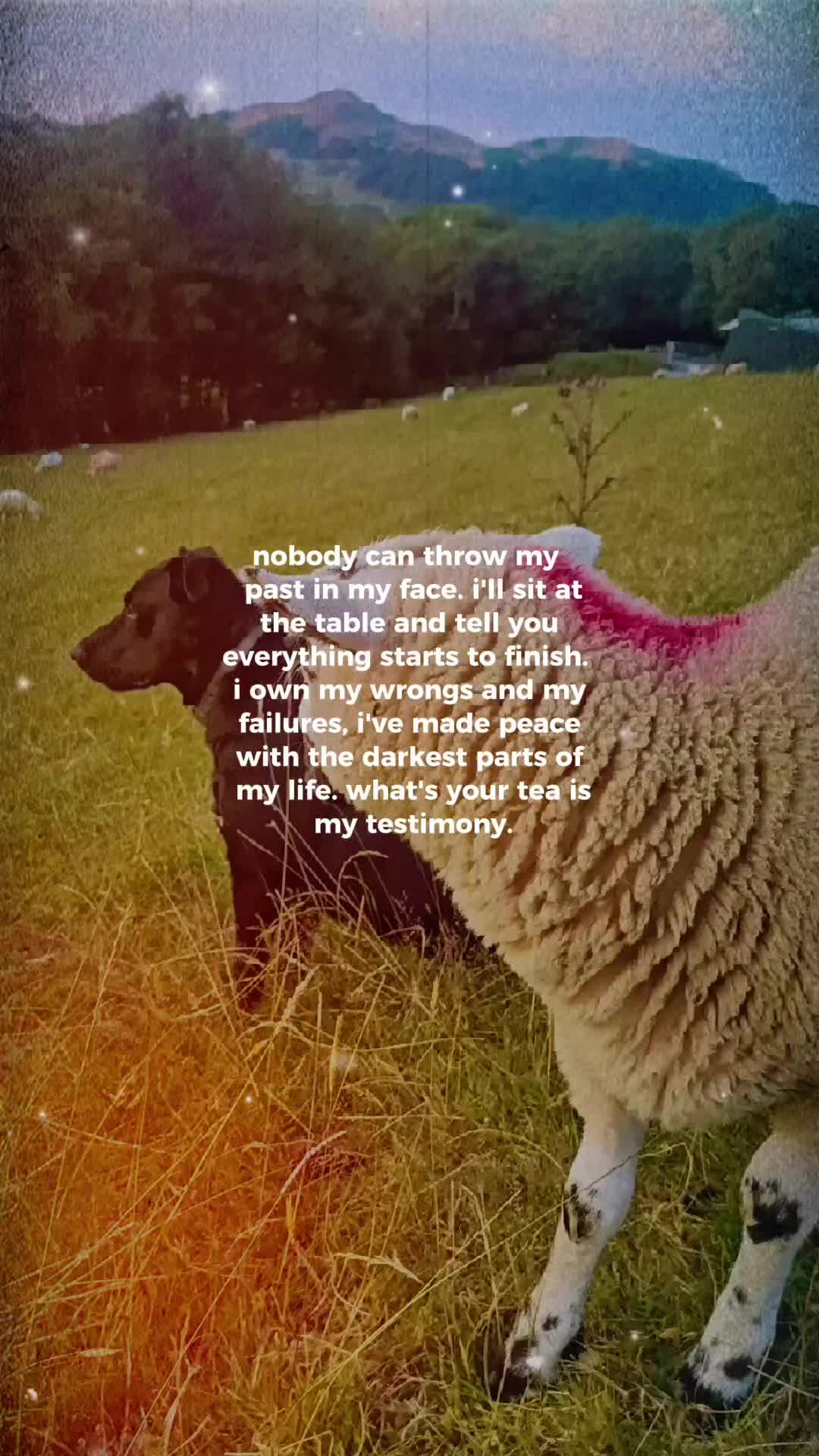 @fieldsforevere42