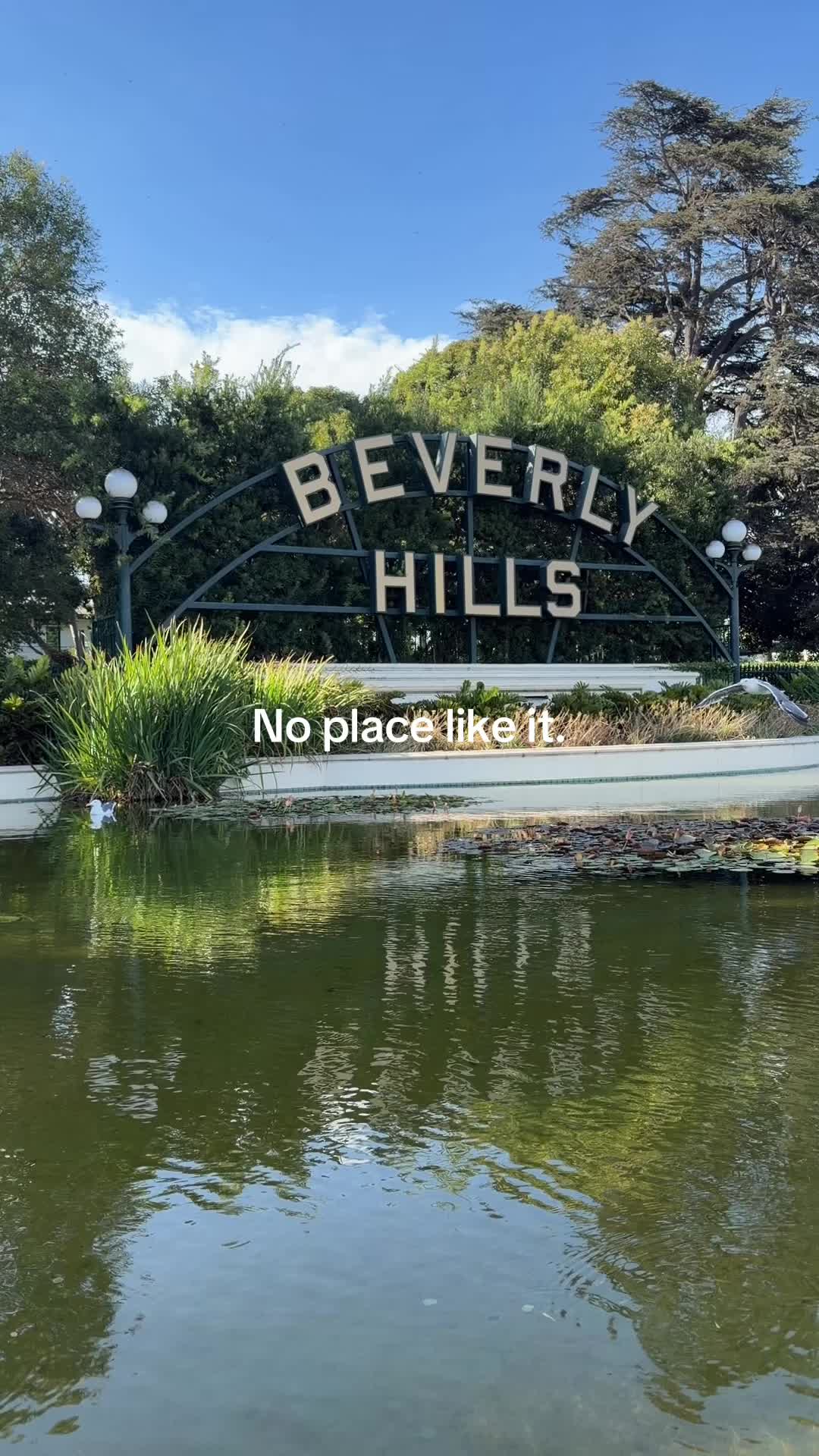 @roc