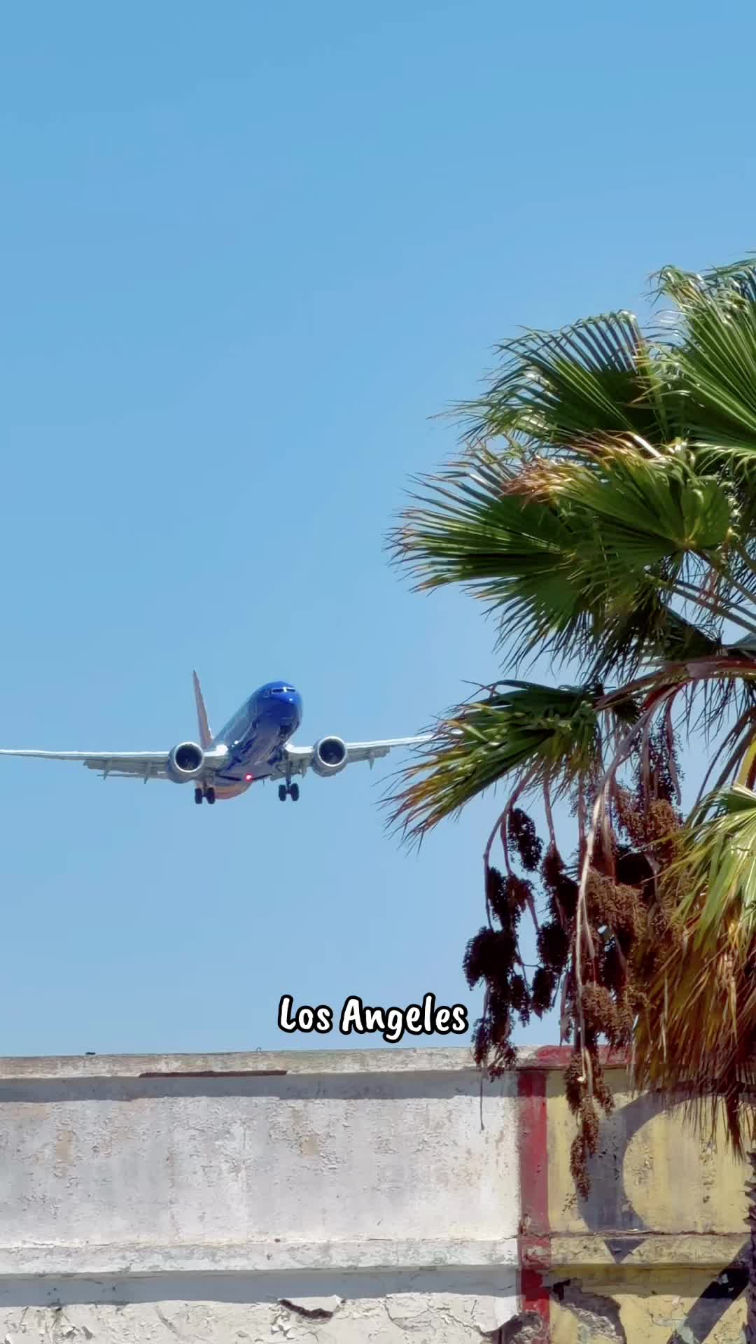 @@onlyin.la