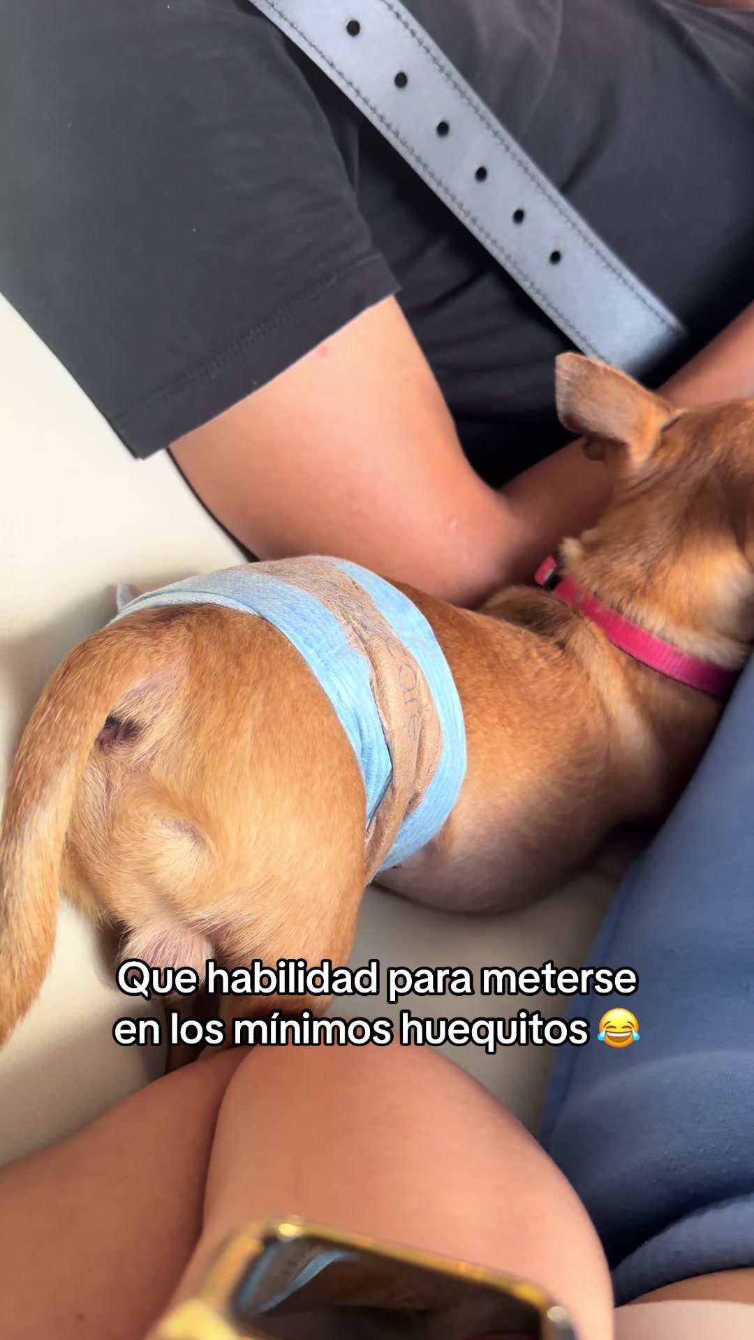 @Gloria Hernandez
