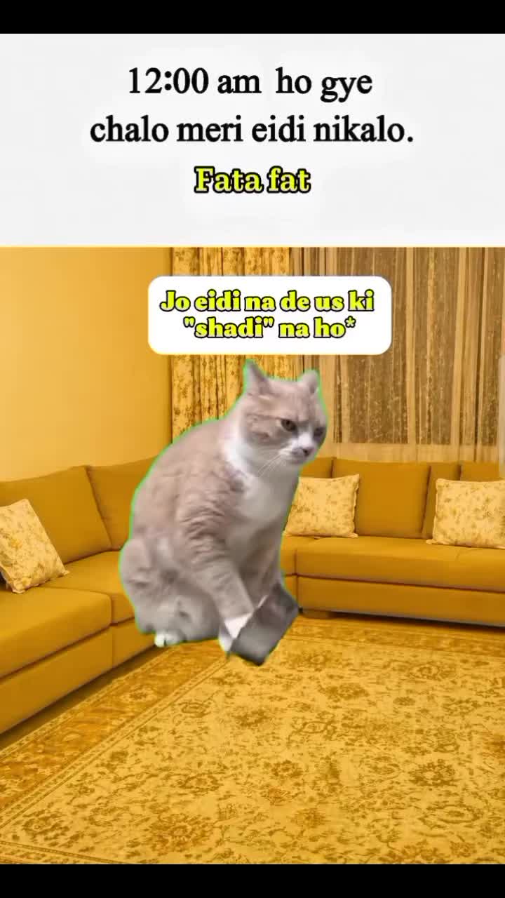 @❥♕⋆𝐙.𝐇⋆♛♒︎