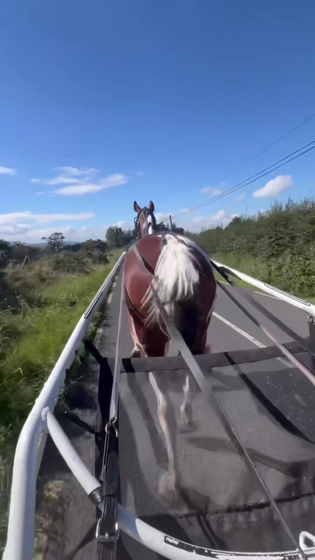 @Kerrie Byrne