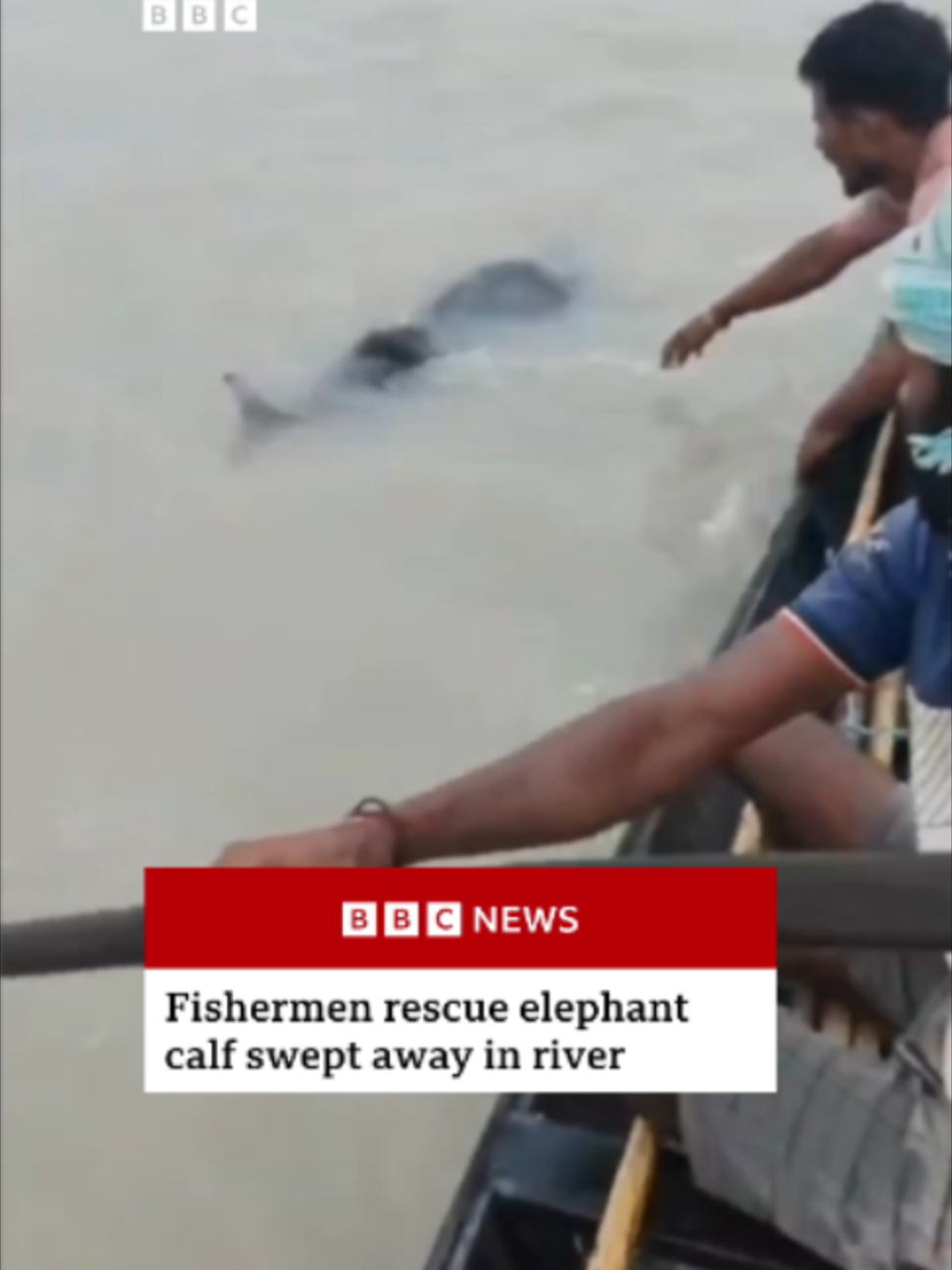@BBC News