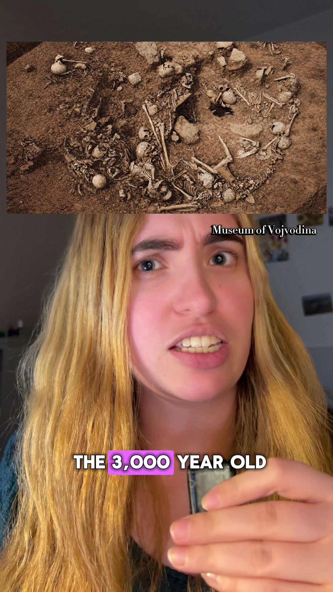 @stephthearchaeologist