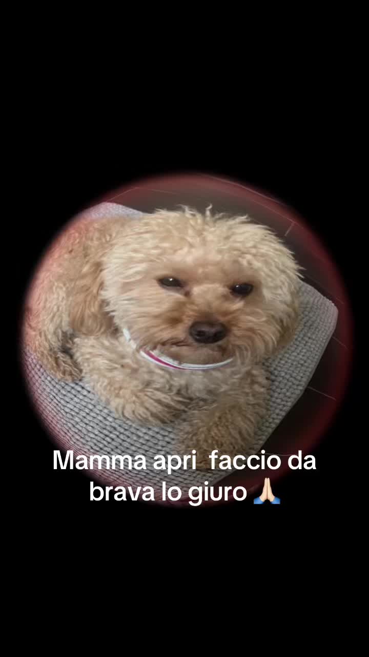 @Valeria