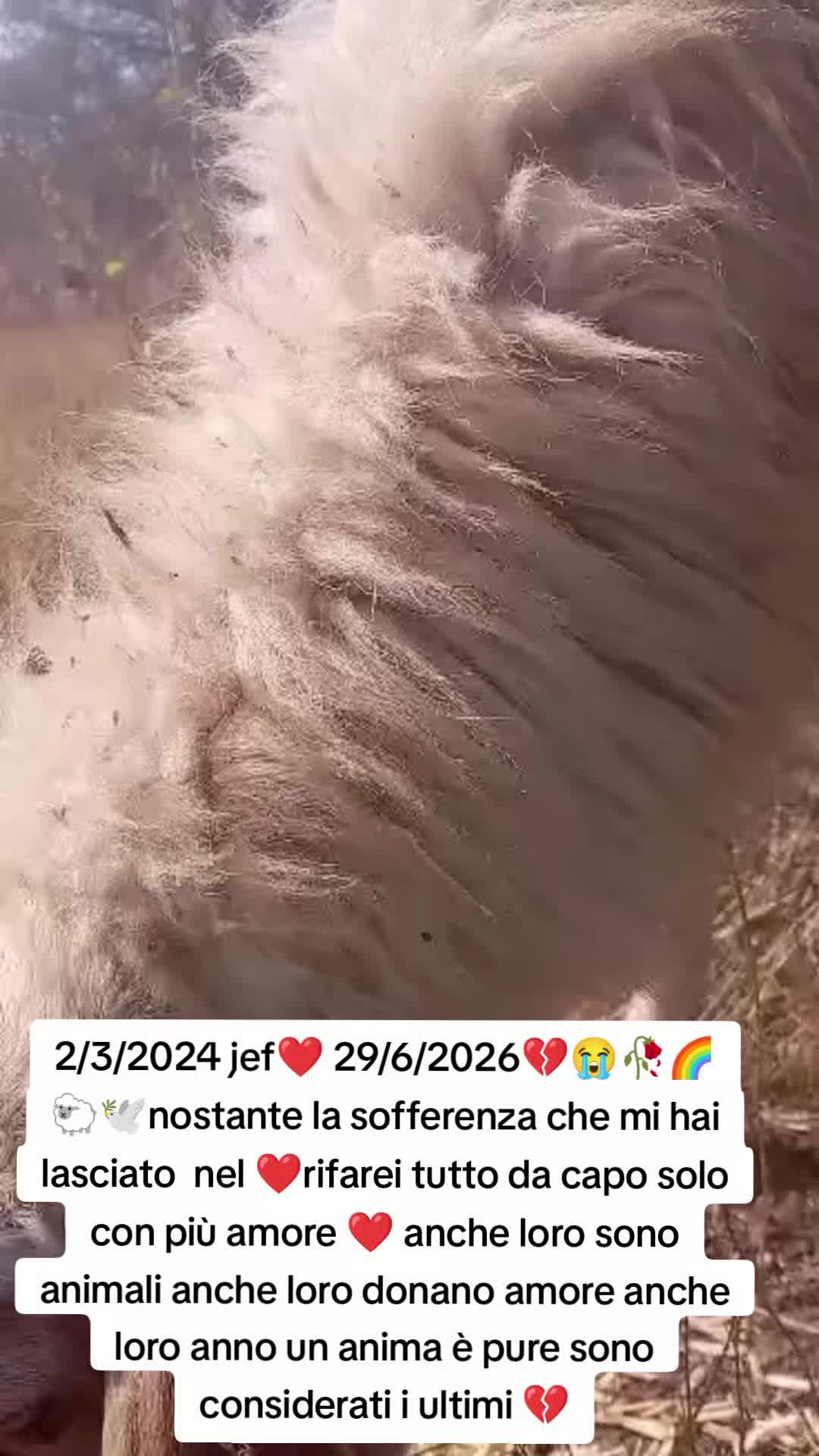 @matildelaurent14
