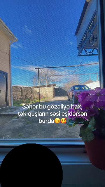 @Darya