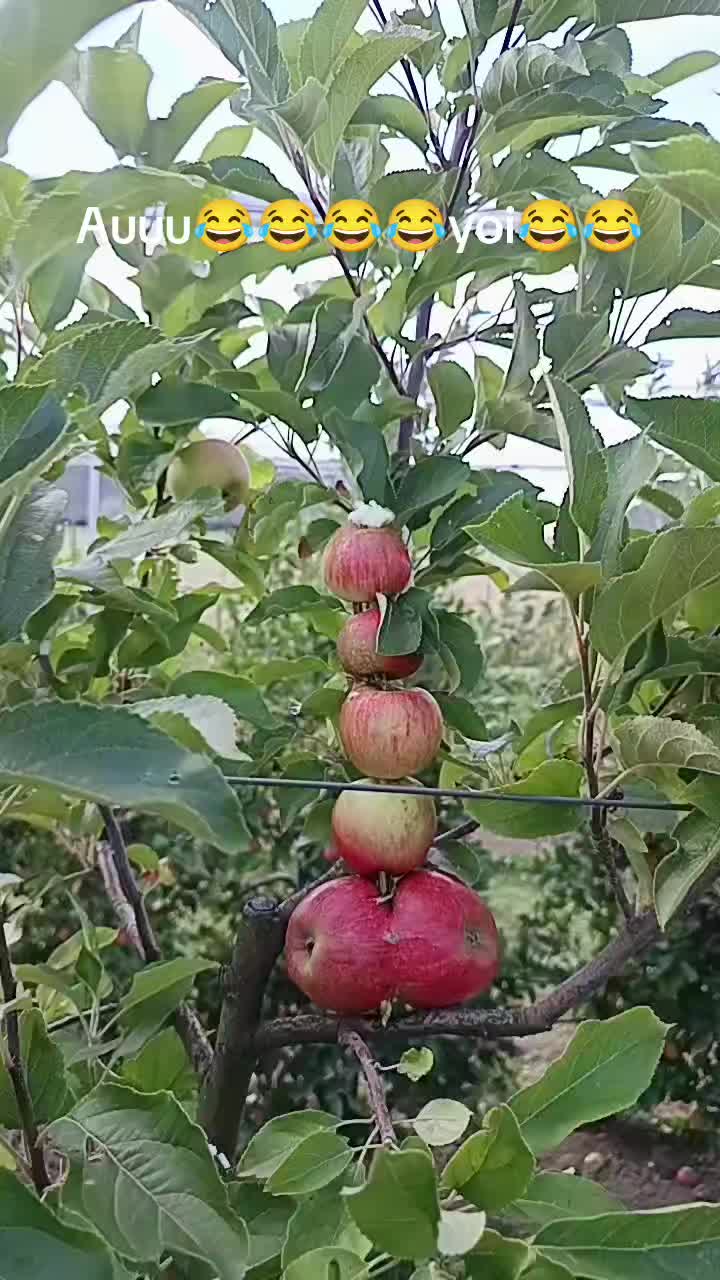 @Ciotârcă Ovidiu!