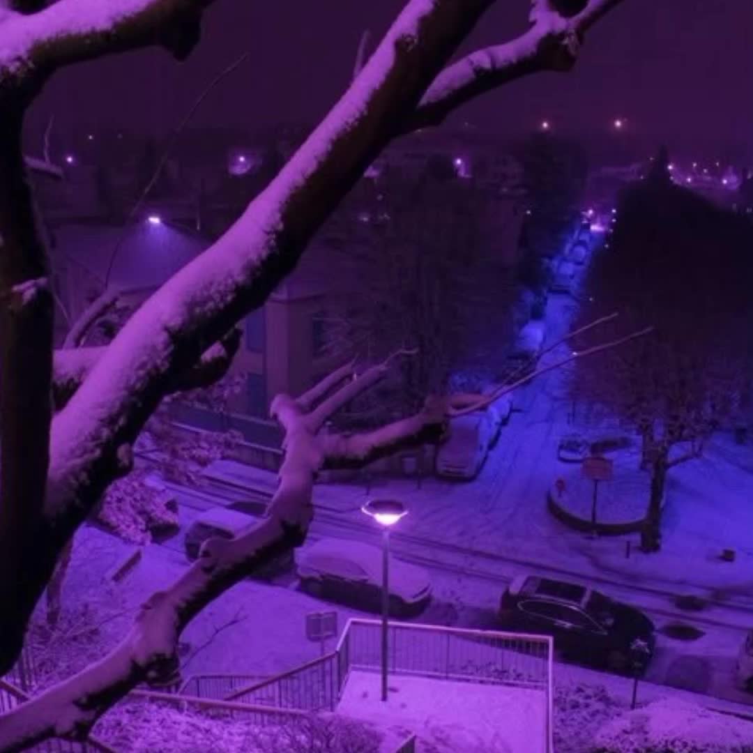 @Winter2021