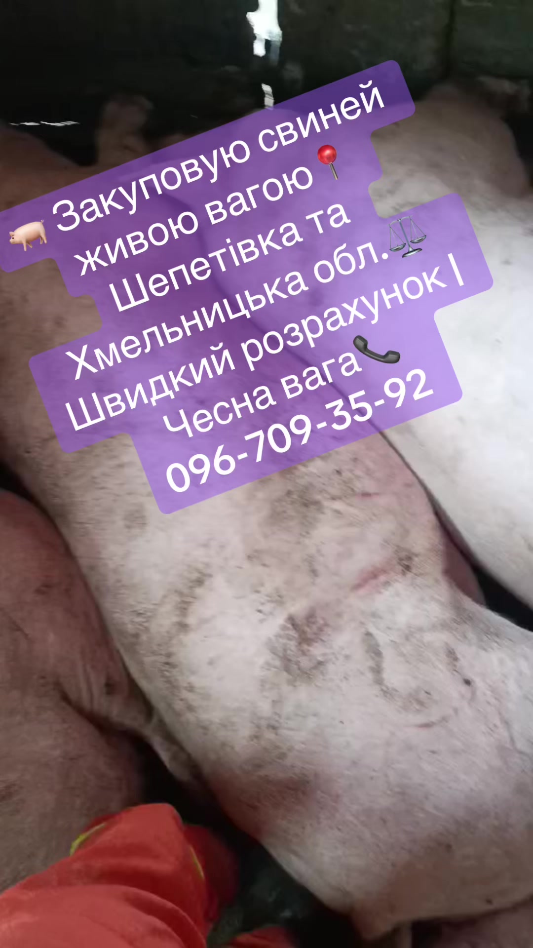 @Олександр