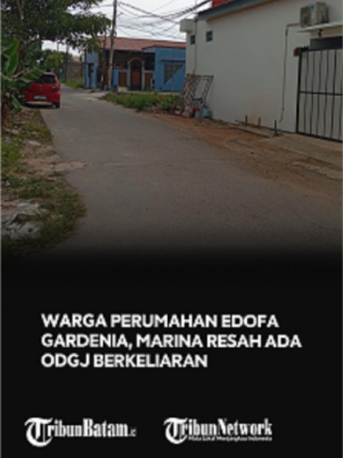 @Tribun Batam
