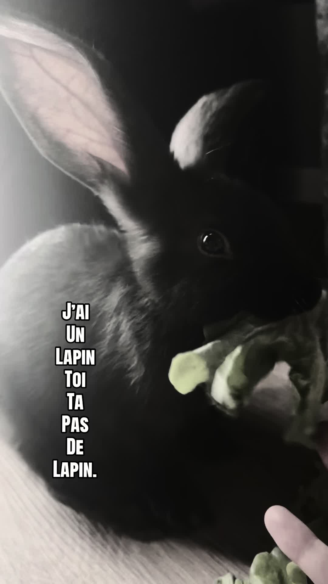 @𝕰𝖑𝖊.𝖓𝖆
