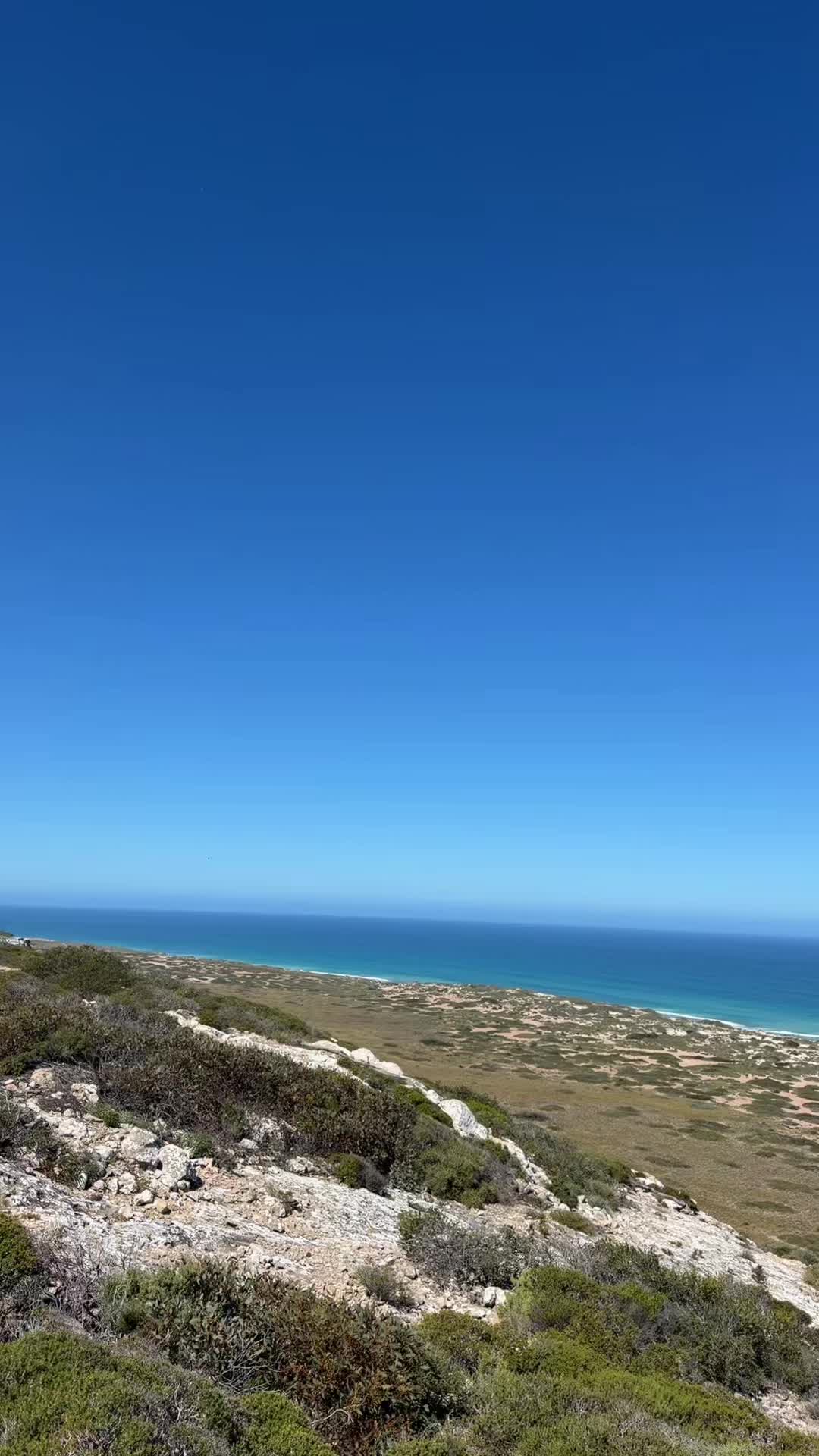@𝐂𝐑𝐎𝐖𝐍
