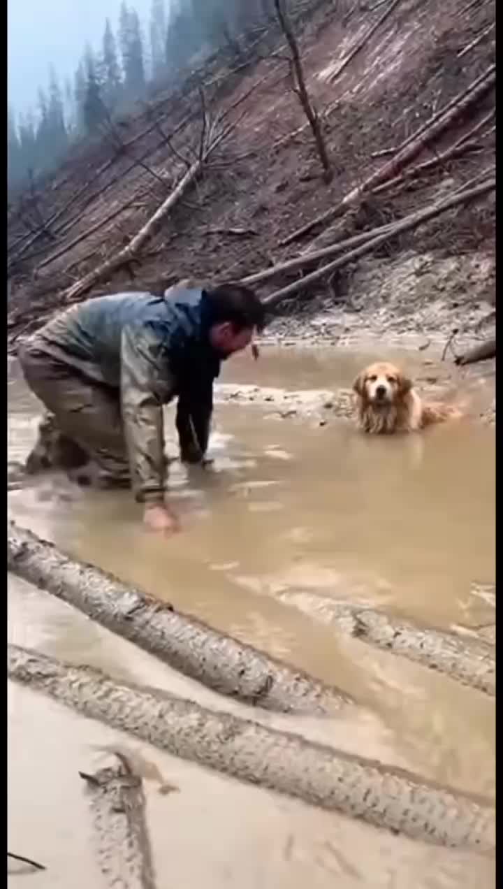 @animalslife2026