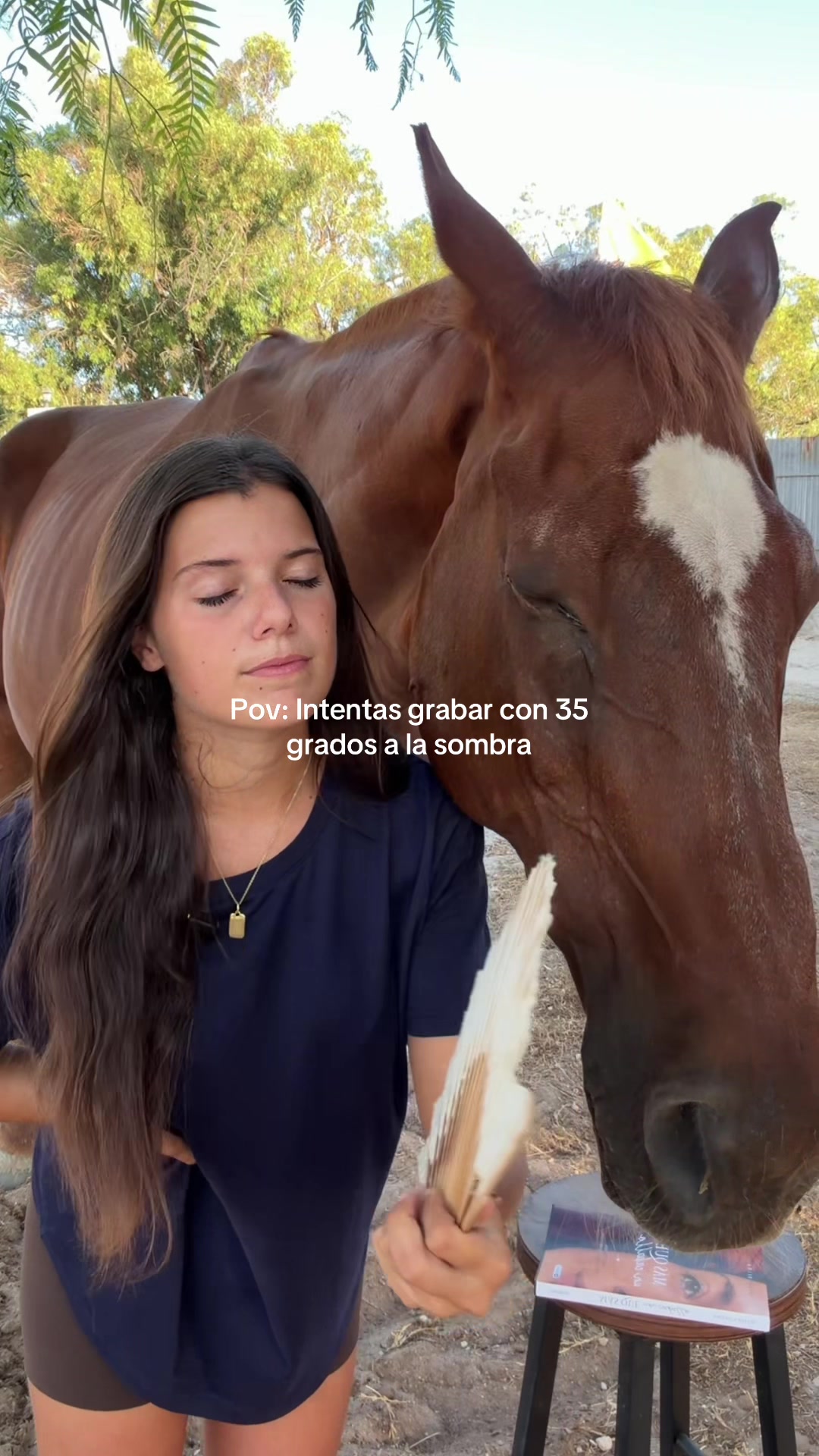 @MyHorse