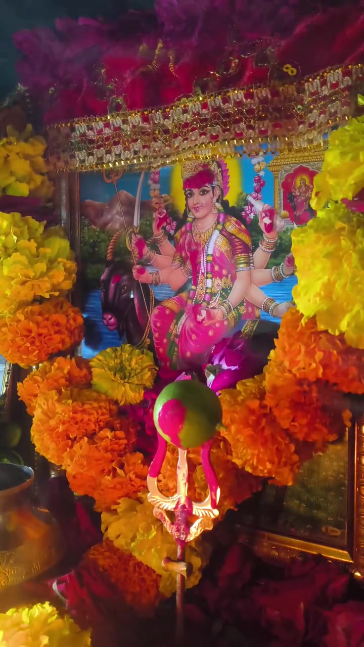 @JAY MATAJI 🙏🏻🙏🏻🙏🏻