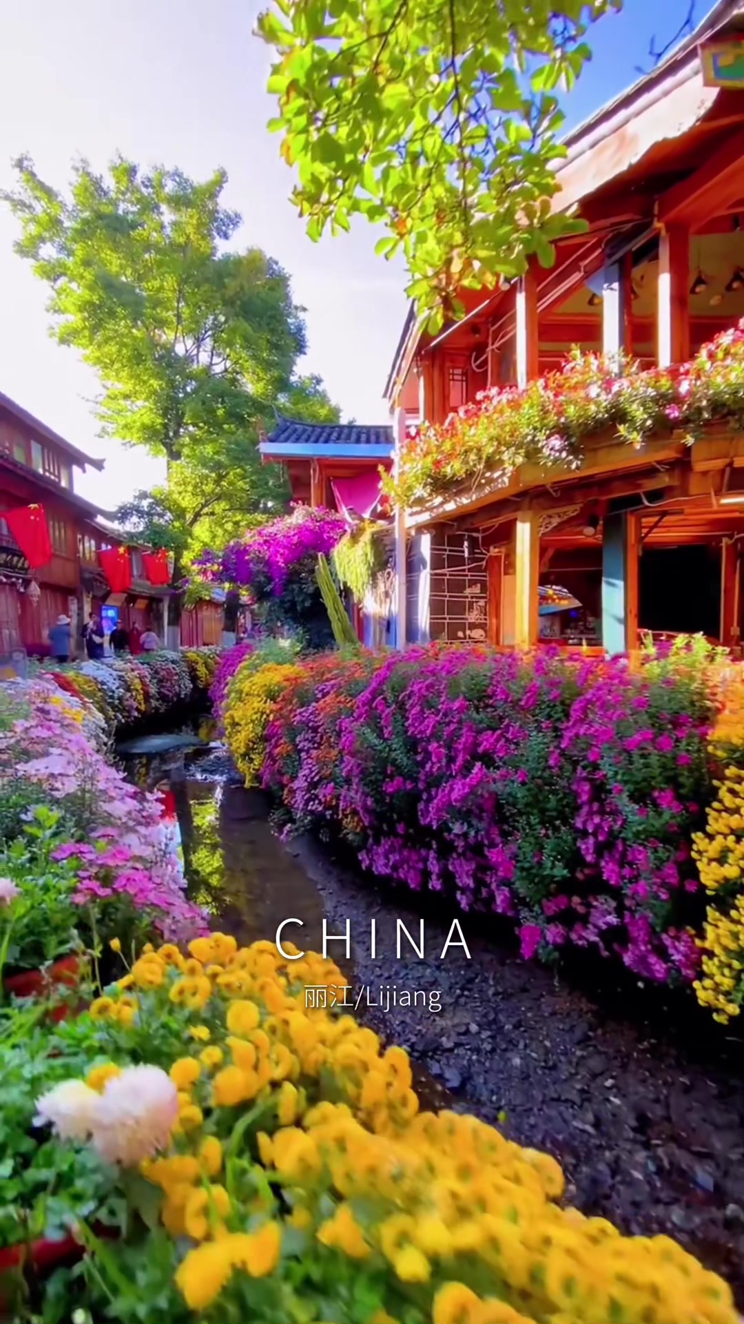@Poetic China