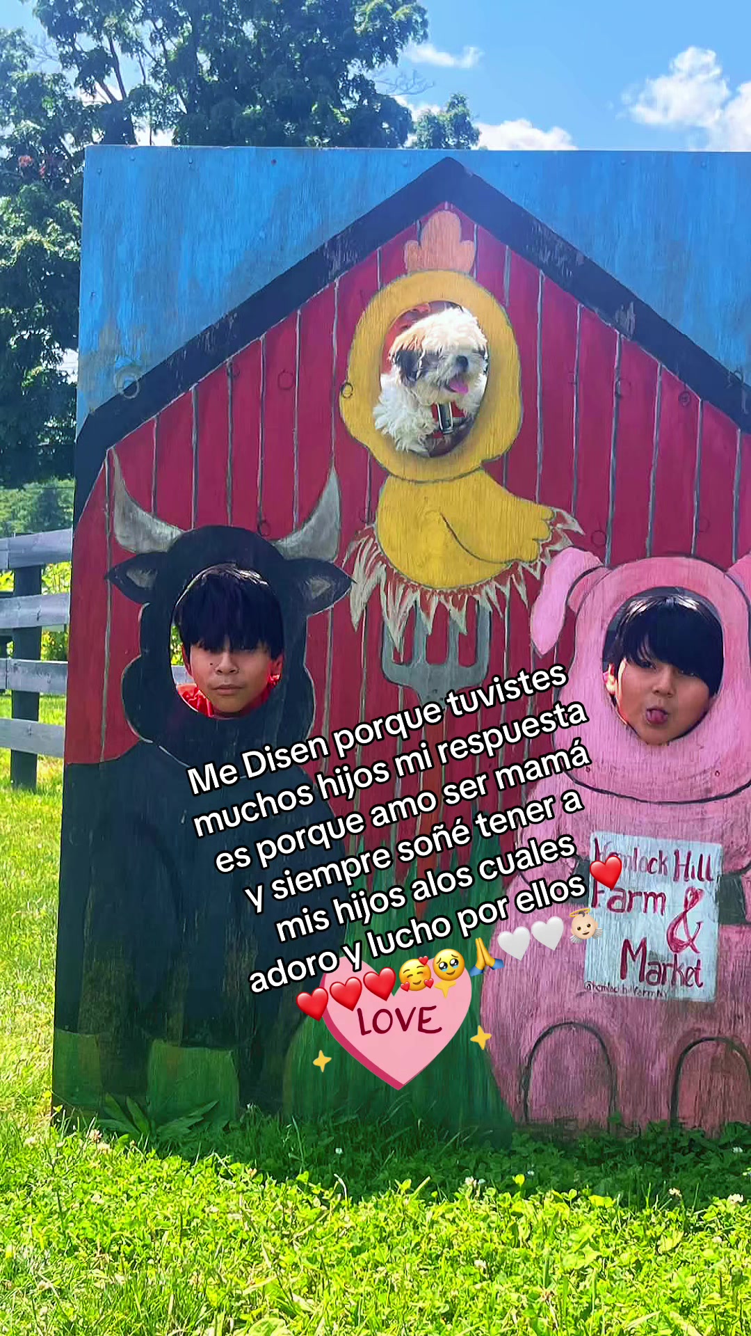@M&hearts;️💯R🦋g🥰m 12/15/14/27/4🥹