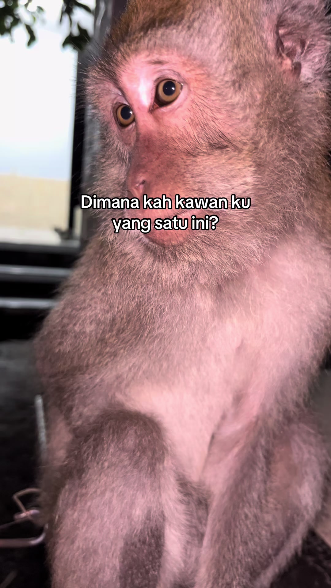 @Nyunyut