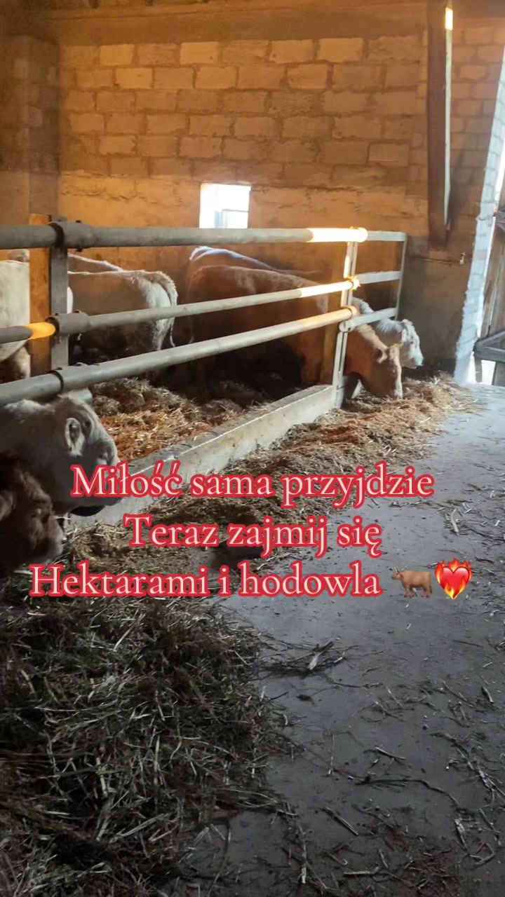 @Rolnik Kujawy