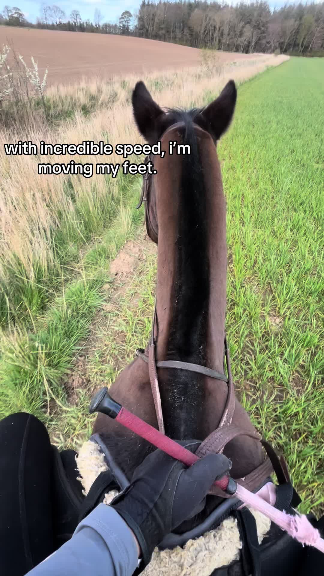 @lilys.riding🎀🐴
