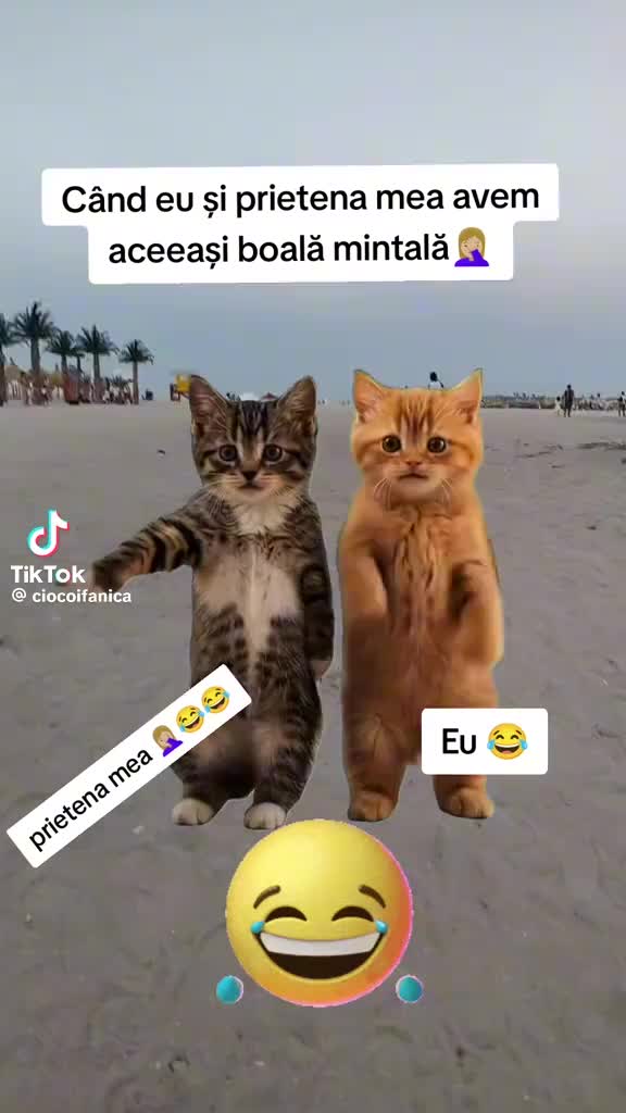 @Tigroaica lui Mona Meier