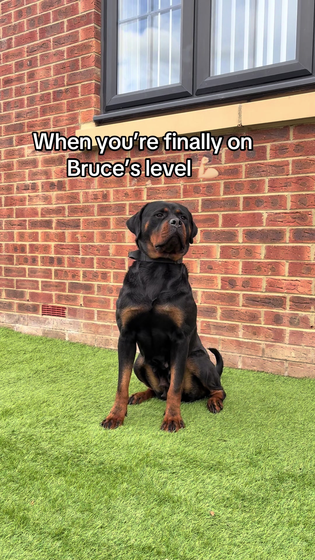 @Bruce&kali