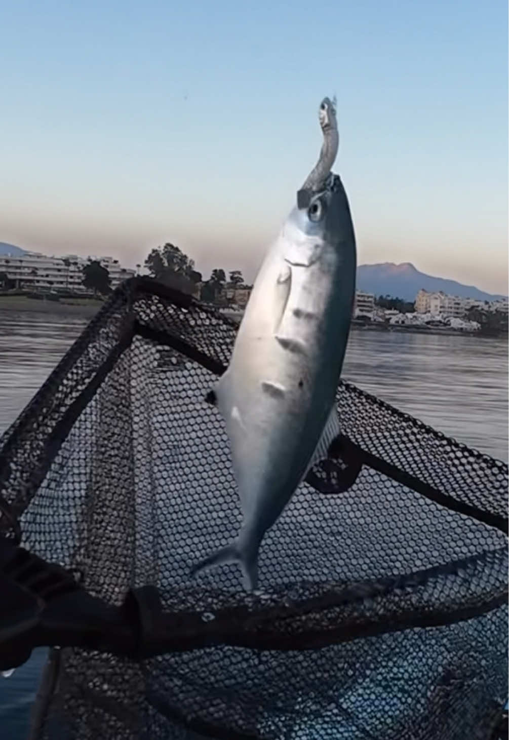 @GRXfishing
