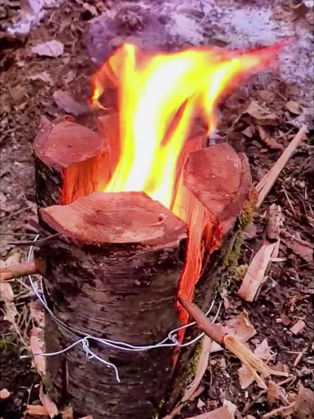 @Survive in The Forest