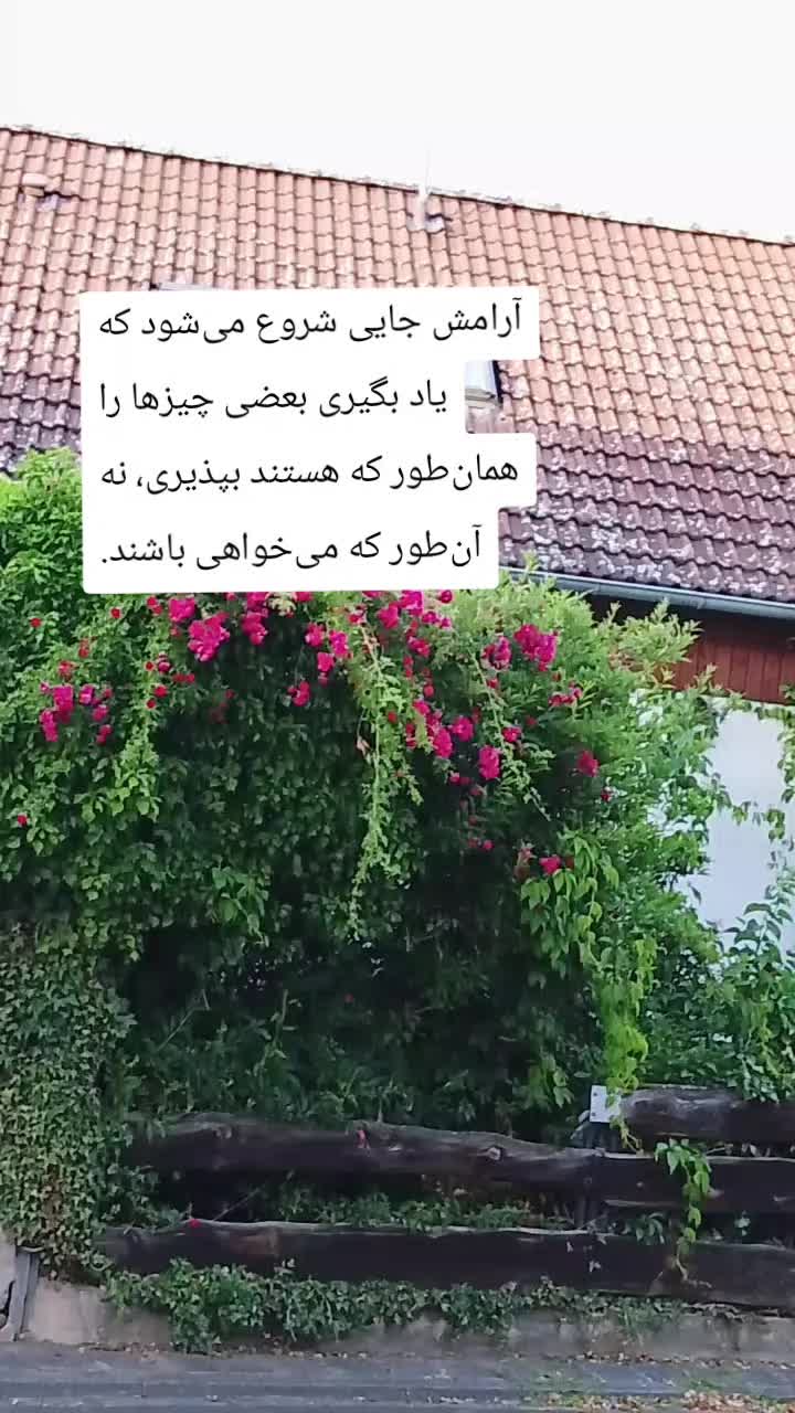 @sona zahed