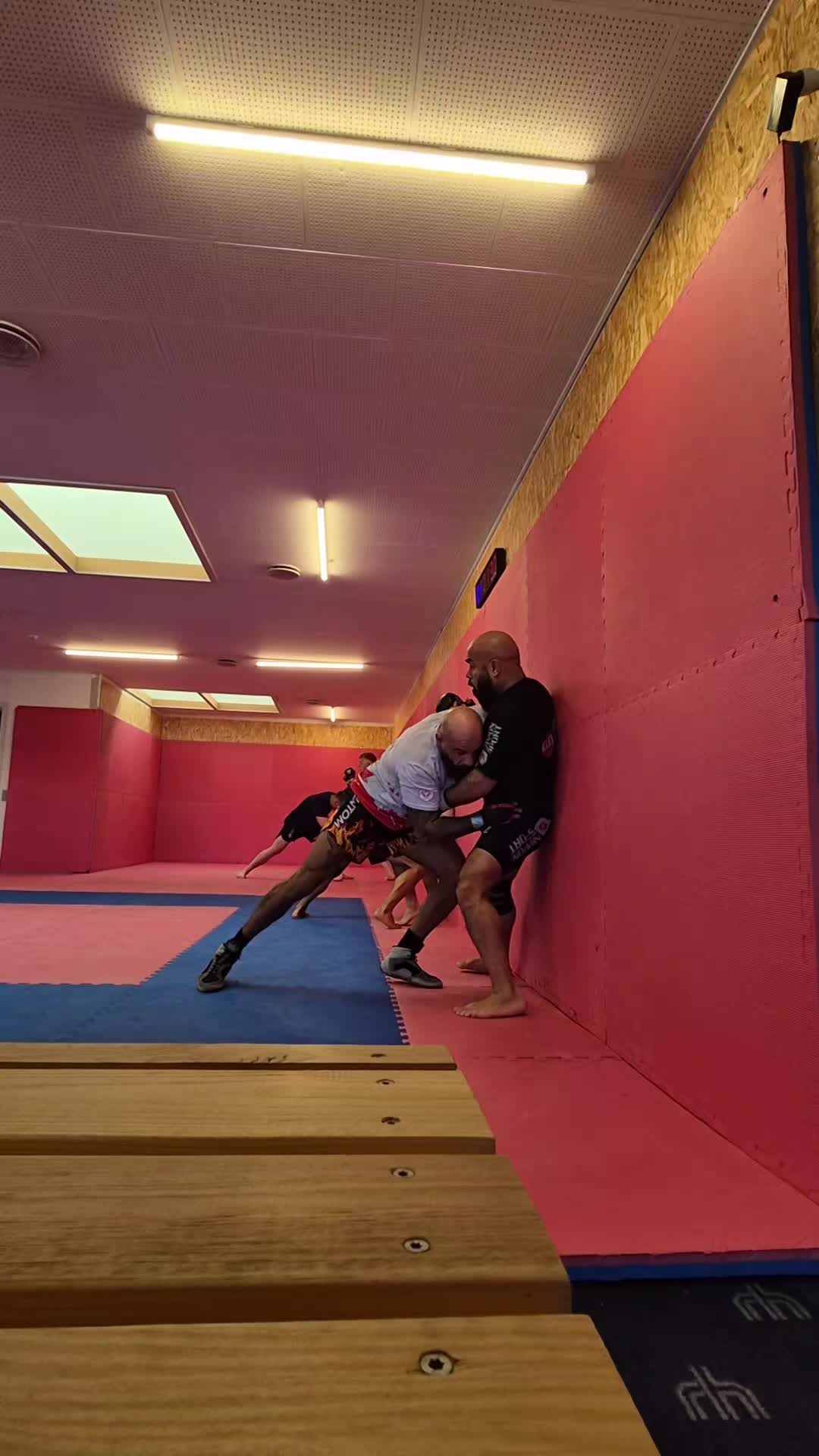 @Farzad_MMA
