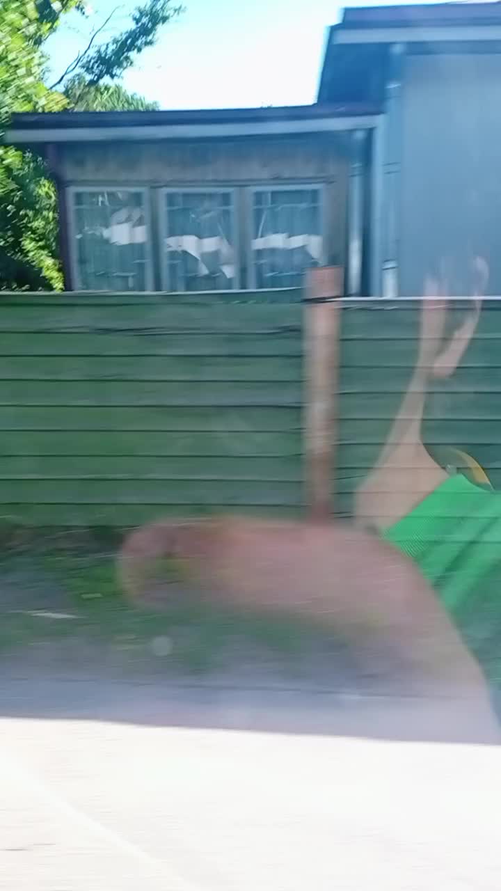 @Лёхатрон