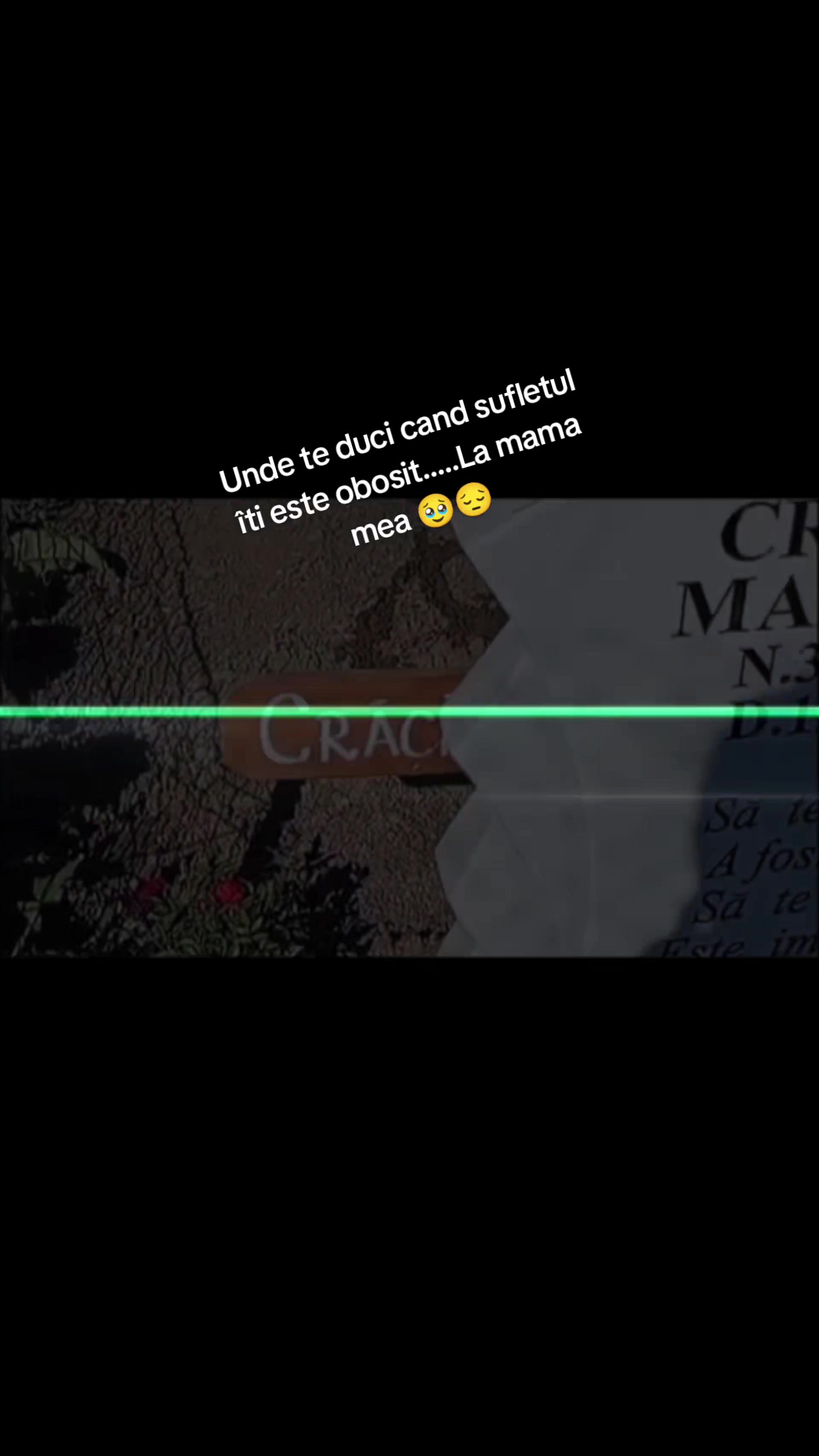 @Laura 🤍