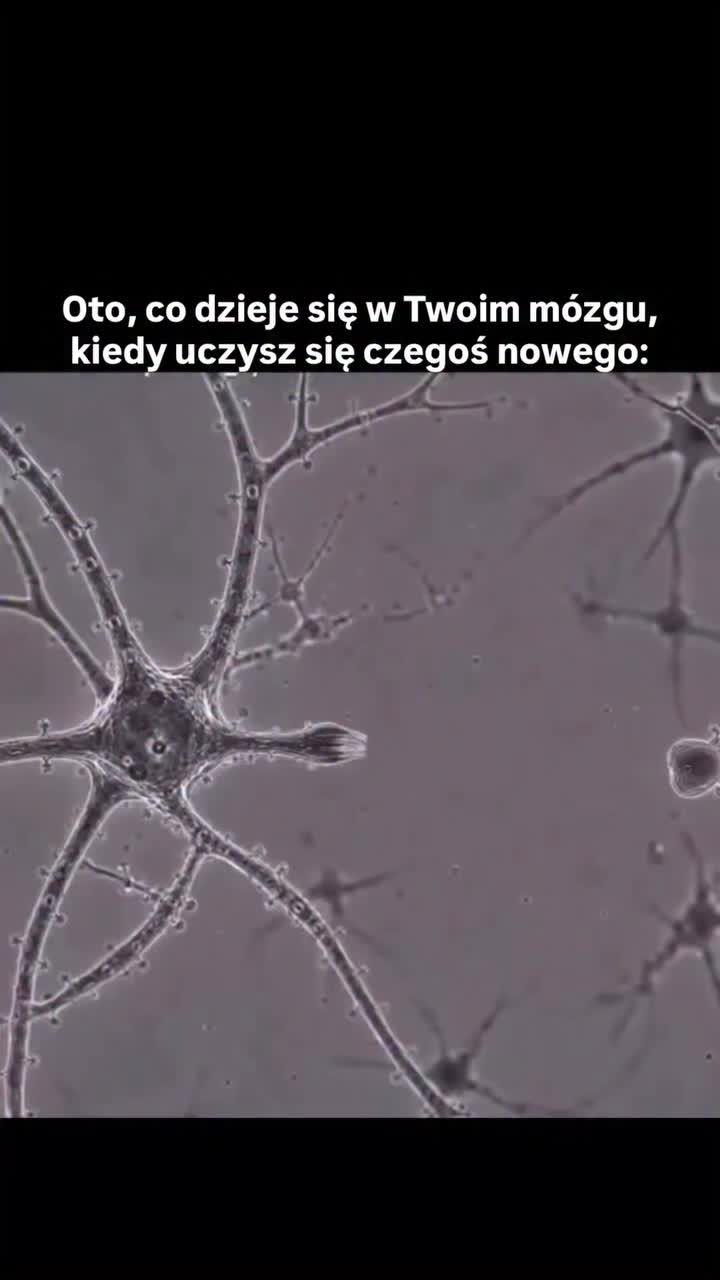 @Domi Żak I Strategia & Biznes