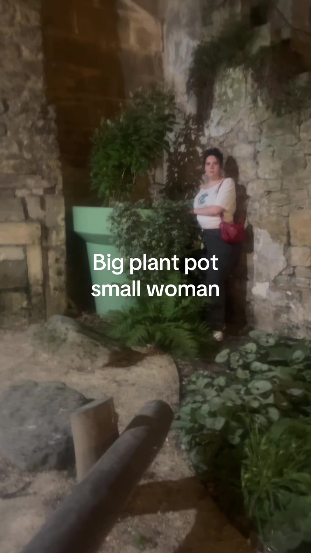 @rose