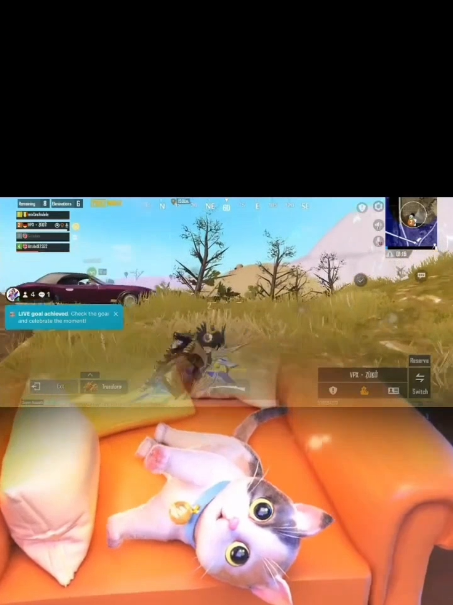 @denis🐻🤗🩶