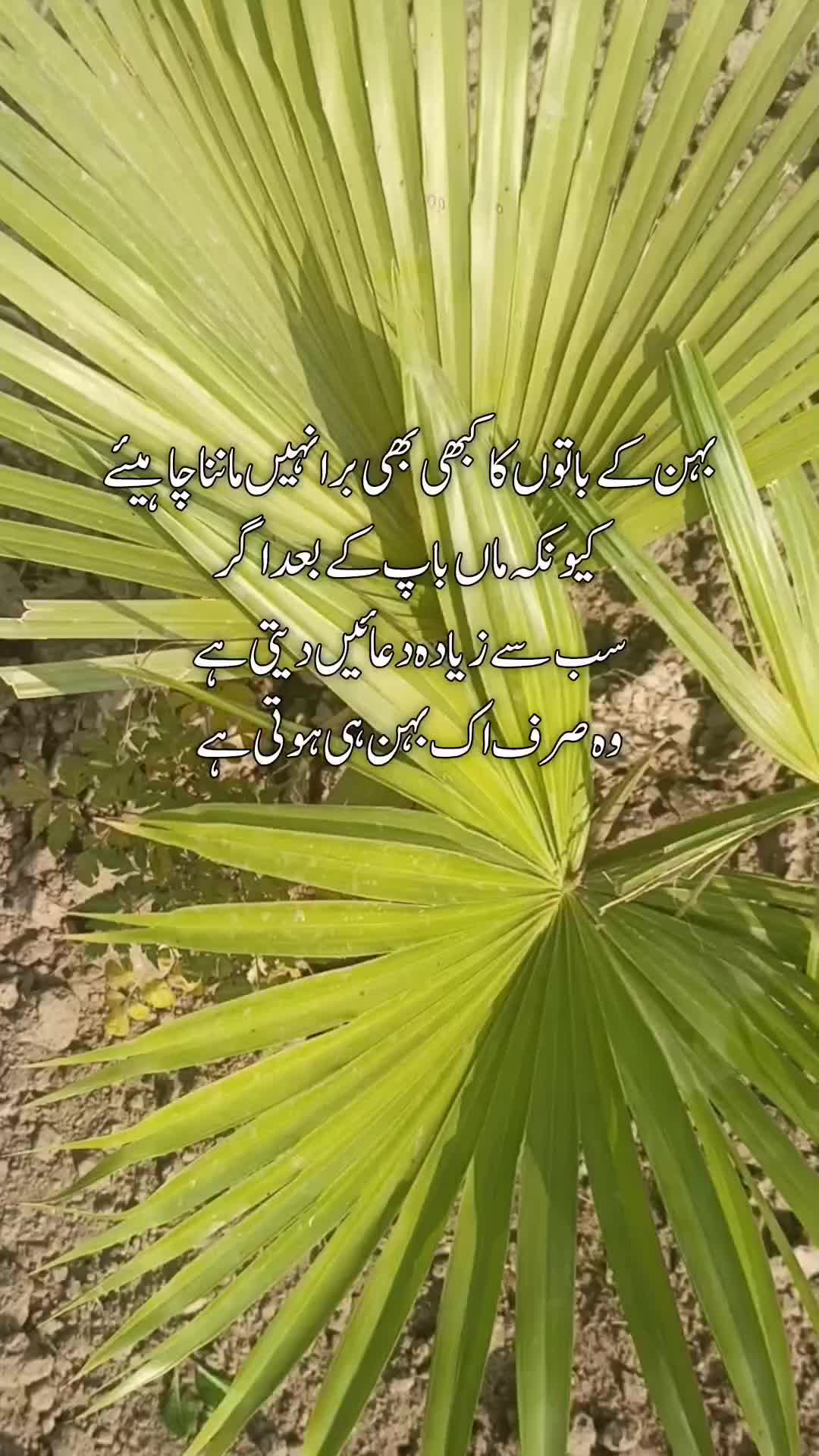 @Kainat Quotes