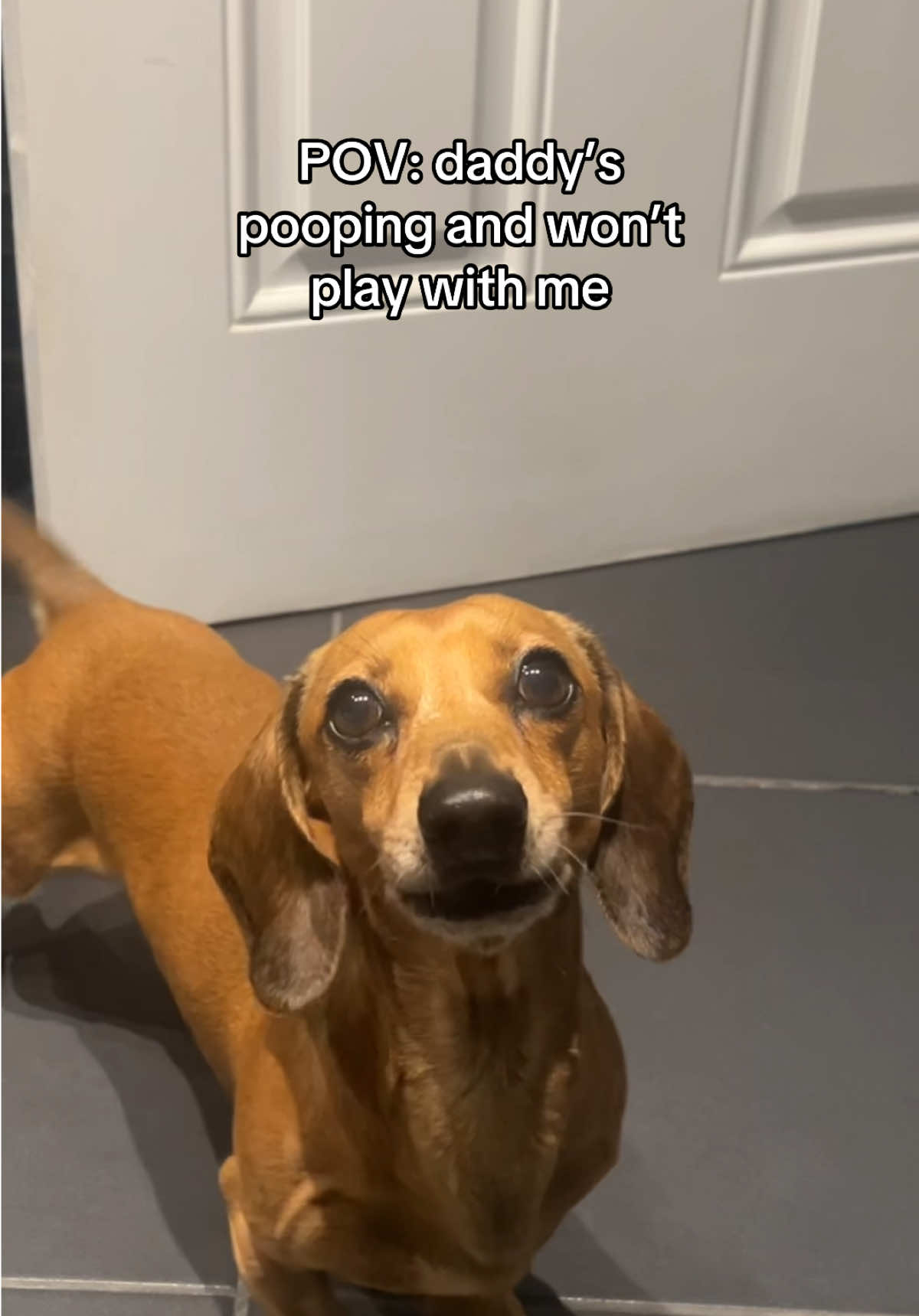 @Rebecca, Pip & Rolo