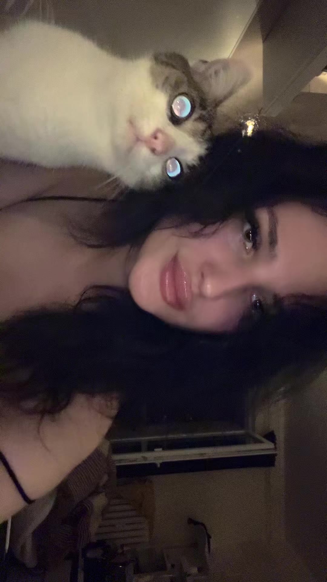 @xoxo